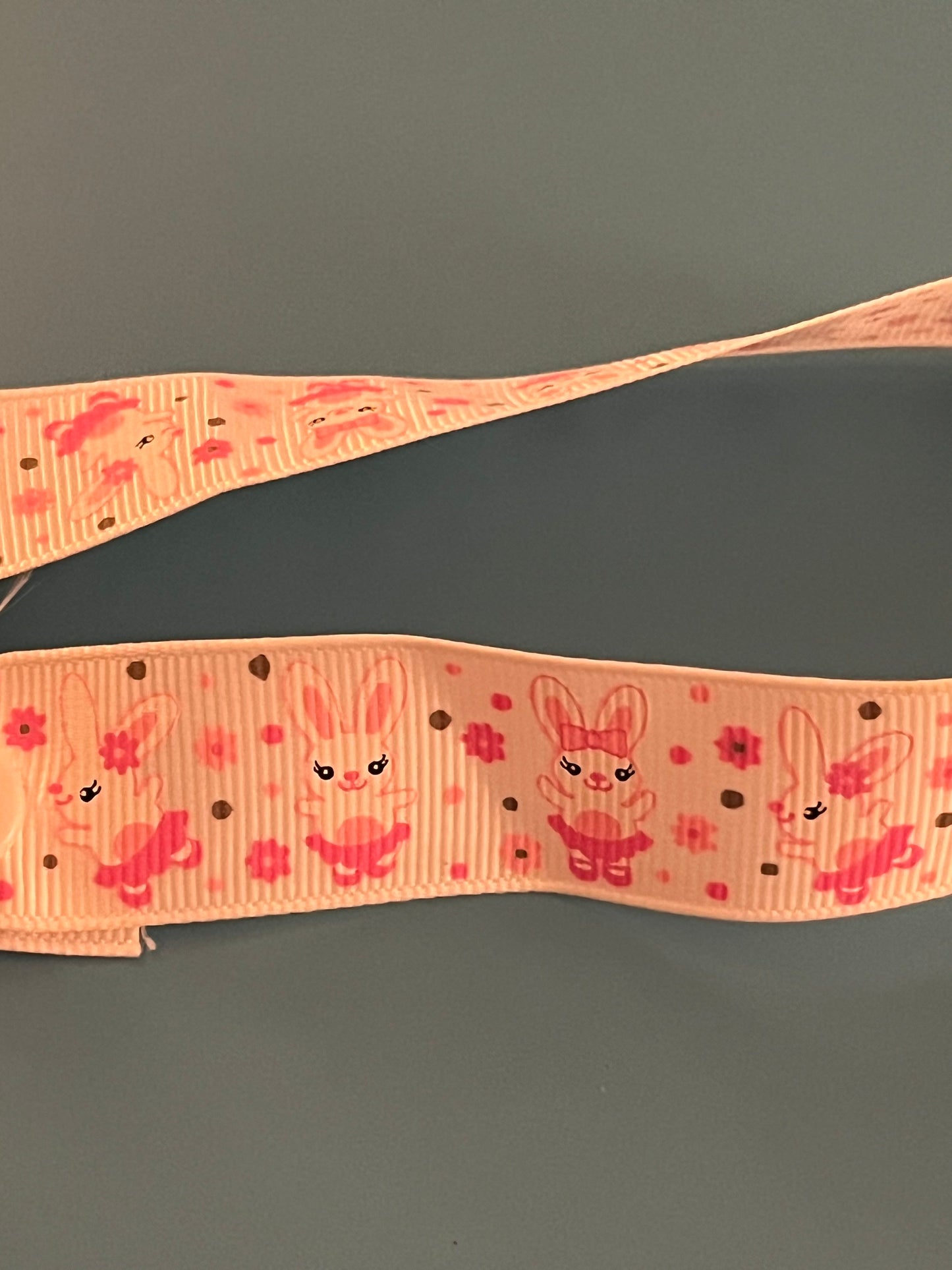 Ballerina Bunny Paci Clip